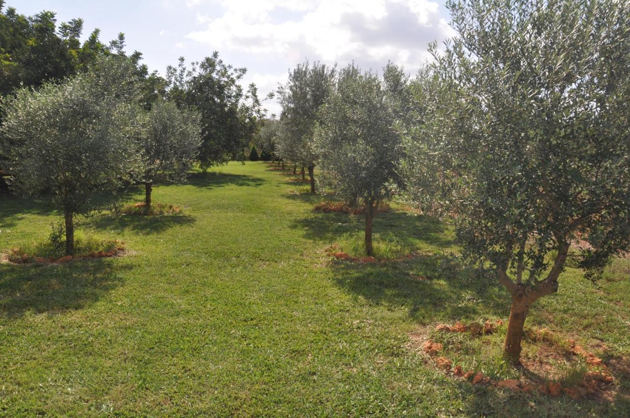 Can Porreti Agroturisme Lloret de Vistalegre Eksteriør billede